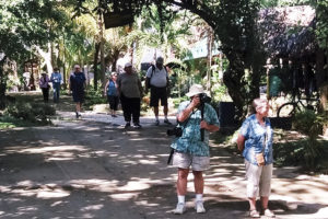 Planes para fortalecer turismo de cruceros