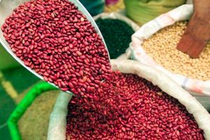 Plan de Producción 2020 asegura soberanía alimentaria