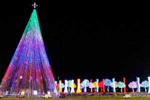 ¡Feliz Navidad y gran prosperidad en 2022! En paz, progreso y seguridad