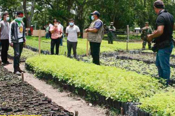 Ambientalista Guardabarranco reforestará en todo el país