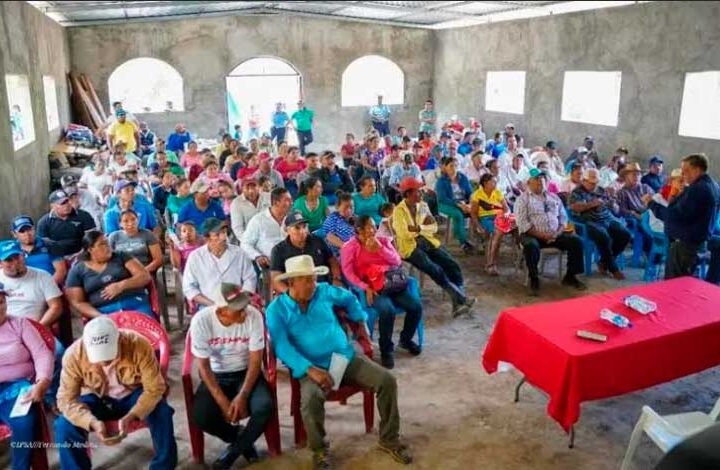 Buscan mantener productividad ganadera en época seca