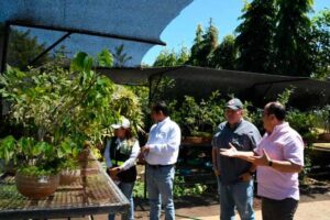 Impulsan estrategia ambiental en Rivas